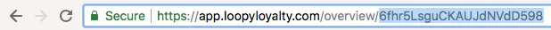 Loopy Loyalty loyalty program illustration