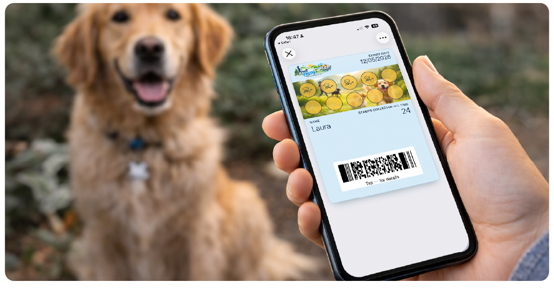 Pet owner holding a digital pet care loyalty card on a smartphone